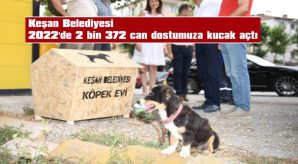 1.137 KISIRLAŞTIRMA, 987 TEDAVİ, 248 SAHİPLENDİRME…