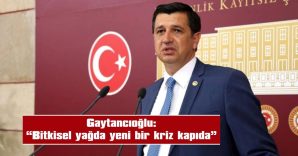 GAYTANCIOĞLU: “BİTKİSEL YAĞDA YENİ BİR KRİZ KAPIDA”