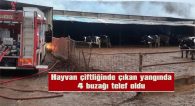 BİNE YAKIN SAMAN BALYASI DA YANDI