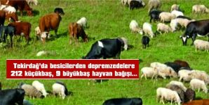 KAVURMA YAPILIP DEPREM BÖLGESİNE GÖNDERİLECEK