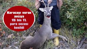 KORUMA ALTINDAKİ HAYVANI AVLADI