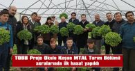 4 BİN 500 KÖK MARUL HASAT EDİLDİ