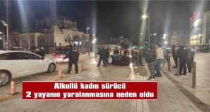 ÇARPTIKTAN SONRA İSE OLAY YERİNDEN KAÇTI