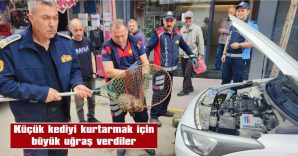 İTFAİYEDEN KEDİ KURTARMA OPERASYONU