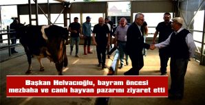 HELVACIOĞLU, BAYRAM ÖNCESİ MEZBAHA VE CANLI HAYVAN PAZARINI ZİYARET ETTİ