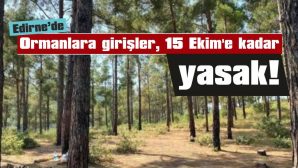 ORMANLARA GİRENLER HAKKINDA İDARİ VE ADLİ İŞLEM YAPILACAK