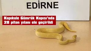 YILANLAR, EDİRNE DOĞA KORUMA VE MİLLİ PARKLAR ŞUBE MÜDÜRLÜĞÜNE TESLİM EDİLDİ