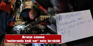 YARAMAZ KEDİ, KURTARMA ÇALIŞMALARI SIRASINDA BAŞKA ARAÇLARIN MOTORUNA GİRDİ