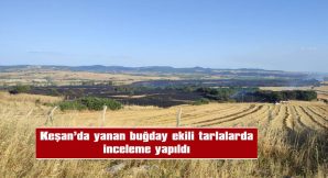 TARLALARDAKİ HASAR TESPİT ÇALIŞMALARI TAMAMLANDI