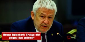 ZIPKINKURT: “TRAKYA’NIN GEÇİM KAYNAĞI AYÇİÇEĞİ YOK OLMA TEHLİKESİYLE KARŞI KARŞIYA”