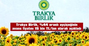 AYÇİÇEĞİ AVANS FİYATI 15 BİN TL/TON OLARAK AÇIKLANDI