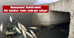 VATANDAŞLAR ARAŞTIRILMASINI İSTEDİ