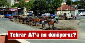 TRİPORTÖRDEN ATA DÖNÜŞ MÜ BAŞLADI?!