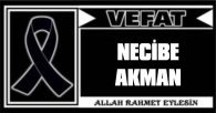 NECİBE AKMAN VEFAT ETTİ