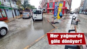 FARK EDEMEYEN YAYALAR, SUYA GÖMÜLÜYOR