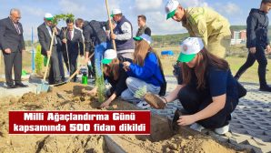 10 ÇEŞİT FİDAN DİKİLDİ