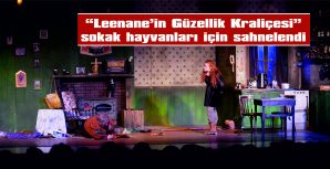 “LEENANE’İN GÜZELLİK KRALİÇESİ” SOKAK HAYVANLARI İÇİN SAHNELENDİ