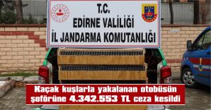 589 KİMLİKSİZ HİNT BÜLBÜLÜ, KANARYA, EBABİL, BAHÇE KİRAZ VE SAKA TÜRÜ KUŞ ELE GEÇİRİLDİ