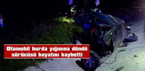 KAÇAN SÜRÜCÜ YAKALANARAK, MAHKEMECE TUTUKLANDI