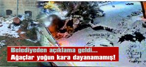 VATANDAŞ NEDEN KESİLDİĞİNİ SORMUŞTU