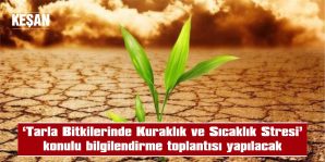 ŞEN VE AÇAR, TOPLANTIYA DAVET ETTİ