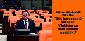 ÜN: “SÜT KRİZİ KAPIDA: ÜRETİCİ BATTI, TÜKETİCİ SÜTE ALAMIYOR!”