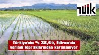 GEÇEN YIL EDİRNE’DE 391 BİN 101 TON ÇELTİK ÜRETİMİ YAPILDI