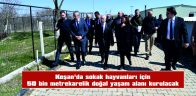 50 BİN METREKARELİK DOĞAL YAŞAM ALANI KURULUYOR