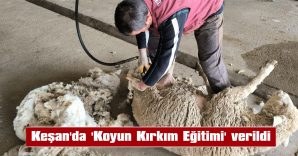 AKBAY: “YILDA 2 DEFA KIRKIM YAPTIRMAK GEREKİYOR”