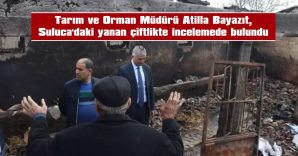 6 İNEK VE 5 KEÇİ TELEF OLMUŞTU