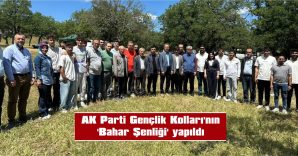HALAY ÇEKİP EĞLENDİLER