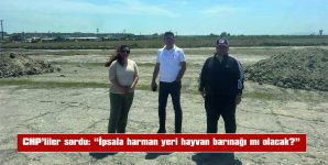 “İPSALA HARMAN YERİ HAYVAN BARINAĞI MI OLACAK?”