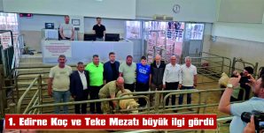 MEZAT, “DAMIZLIĞIN KALBİ EDİRNE’DE ATIYOR” SLOGANIYLA DÜZENLENDİ