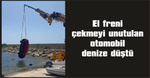 VİNÇ YARDIMI İLE SUDAN ÇIKARILDI