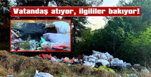 KİMİ KİME ŞİKAYET EDELİM!