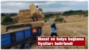 HUBUBAT HASADI 285 TL/DEKAR, BALYA BAĞLAMA 26 TL/ADET