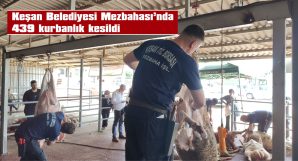 GEÇEN YILA ORANLA DÜŞÜŞ YAŞANDI