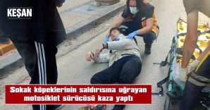 YARALI SÜRÜCÜ AMBULANSLA HASTANEYE KALDIRILDI