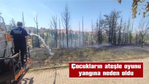 ÇOK SAYIDA AĞAÇ ZARAR GÖRDÜ