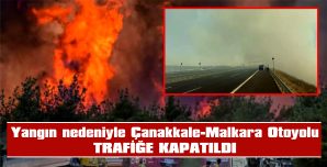 YANGINA 15 UÇAK, 19 HELİKOPTER HAVADAN MÜDAHALE EDİYOR