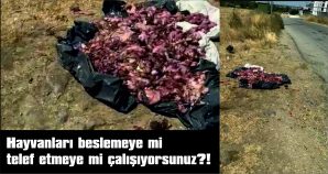 ORTALIK YERE BIRAKILAN ÇİĞ SAKATATLAR TEPKİYE NEDEN OLDU