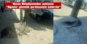 KEŞAN BELEDİYESİNDEN AÇIKLAMA: “AĞAÇLAR GÜVENLİK GEREKÇESİYLE KALDIRILDI”