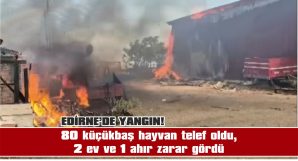 ÜRETİCİ, HAYVANLARINI KURTARMAK İSTERKEN YARALANDI