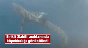 BALIKÇILAR, O ANLARI CEP TELEFONUYLA KAYDETTİ