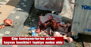 ‘İNSAN SAĞLIĞI AÇISINDAN TEHDİT OLUŞTURUYOR!’