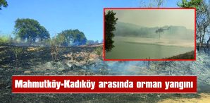 KARADAN VE HAVADAN MÜDAHALE DEVAM EDİYOR