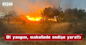 İTFAİYENİN MÜDAHALESİ İLE SÖNDÜRÜLDÜ