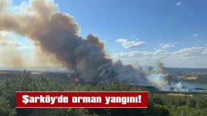 YANGINA HAVADAN VE KARADAN MÜDAHALEDE EDİLİYOR