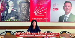 GEGEOĞLU: “KADIN CİNAYETLERİ MÜNFERİT DEĞİL, POLİTİKTİR!”