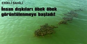 SAĞLIĞIMIZ TEHDİT ALTINDA!